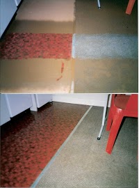 Adrians Amazing Carpet Cleaning 350616 Image 1